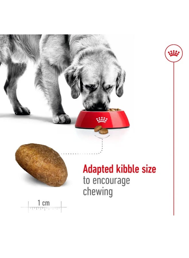 Royal Canin Maxi Adult Dry Dog Food 15kg - Image 2